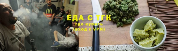 индика Богородицк