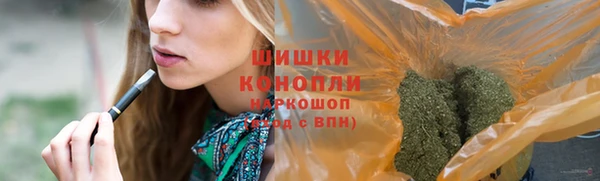 шишки Бронницы