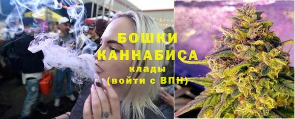 шишки Бронницы