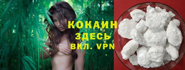 mix Бородино
